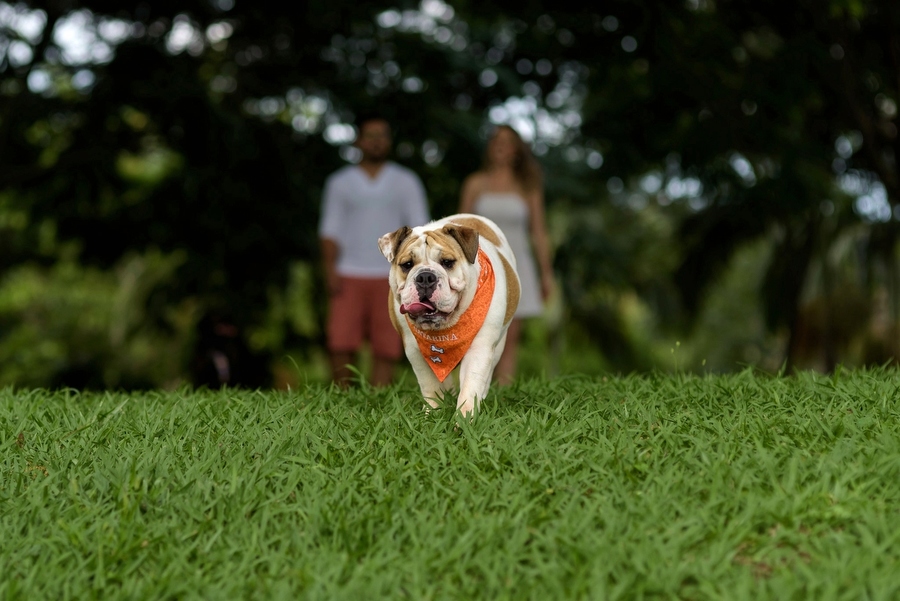 fotografo casamento fazenda lageado